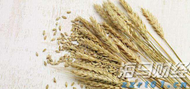 高盛看好Liberty Formula One(FWONA.US)：增长与降债预示着60亿美元的股东回报潜力