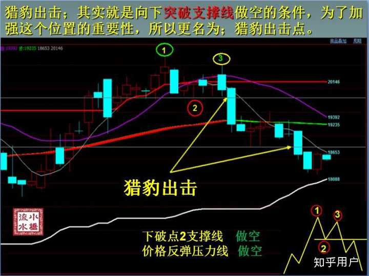 房产界的Meme股？Opendoor(OPEN.US)股价暴涨460%引发新一轮狂潮