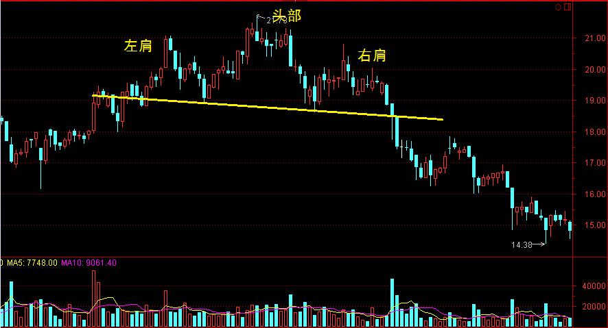 熊海峰教授走进广东塔牌集团股份有限公司开展2025院士专家入百企进百校（梅州行）活动